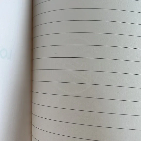 Louis Vuitton Big Wheel Vivienne Clemence notebook - Picture 11 of 15